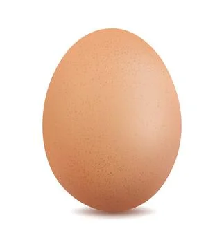 Chicken egg isolated on white background vector illustration Illustrazione stock