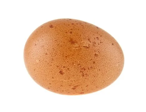 Chicken egg isolated on white background closeup Stock Photos