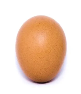 Chicken egg isolated on white background. Stock Photos
