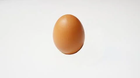 Chicken egg isolated on white background Stock Photos