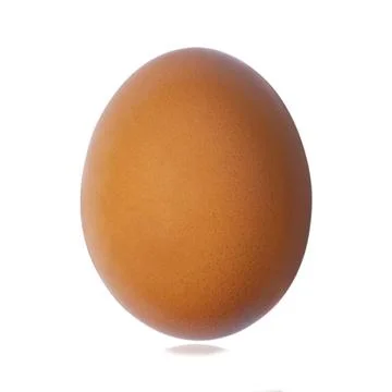 Chicken egg isolated on white background with clipping paths. Stock Photos