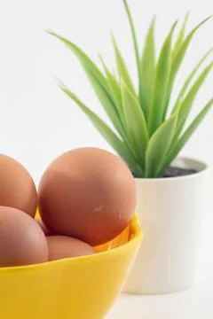 Chicken egg isolated on white background 스톡 사진