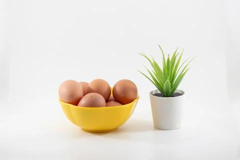 Chicken egg isolated on white background Stock Photos