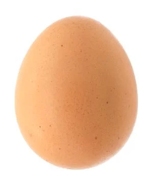 Chicken egg isolated on white background Stock Photos