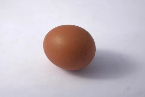 Chicken egg isolated on white background Stock Photos