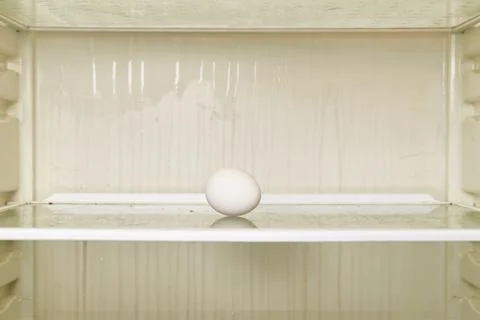 A chicken egg is lying on the shelf of an empty refrigerator Stock Photos