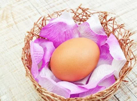 Chicken egg in a nest with petals. At Easter. Stock Photos