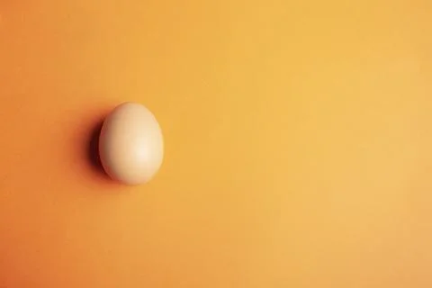 Chicken egg on orange background Stock Photos