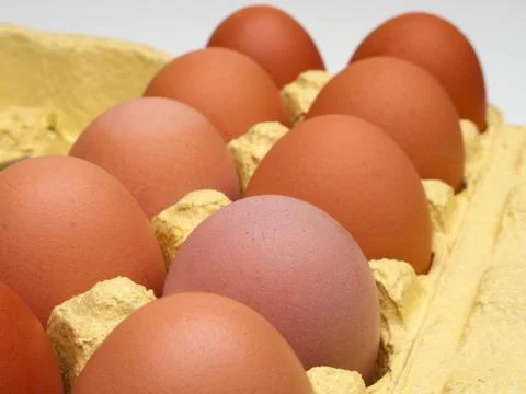 Chicken egg Stock Photos