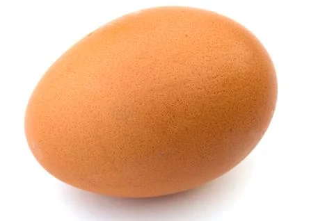 Chicken egg. Stock Photos