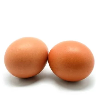 Chicken egg Stock Photos