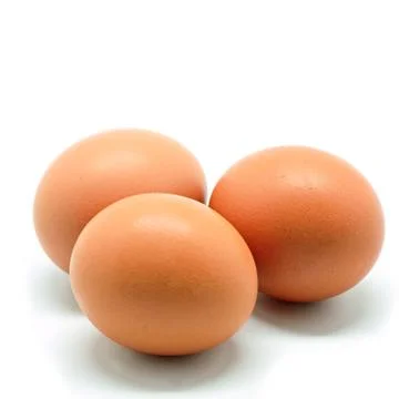 Chicken egg Stock Photos
