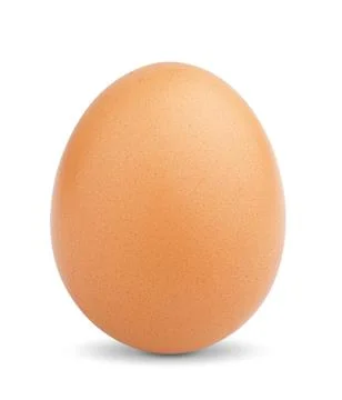 Chicken egg Foto stock