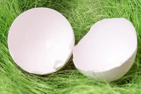 Chicken egg Stock Photos