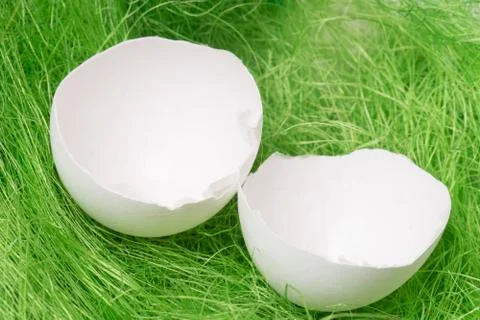 Chicken egg Stock Photos