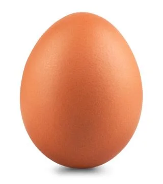 Chicken egg Foto stock