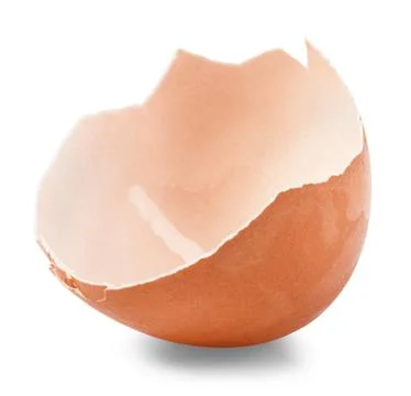Chicken egg Stock Photos