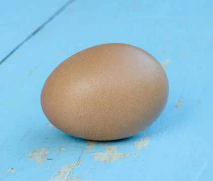Chicken egg . Stock Photos