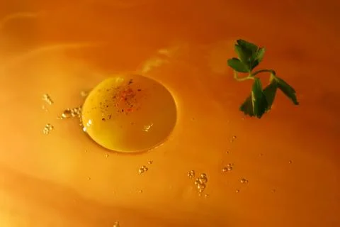Chicken egg Stock Photos