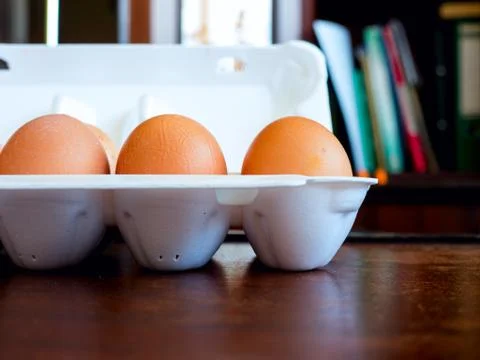 Chicken egg. Stock Photos