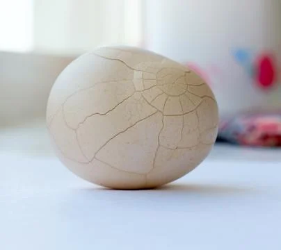 Chicken egg. Stock-Fotos