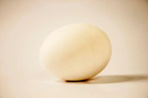 Chicken egg Stock Photos