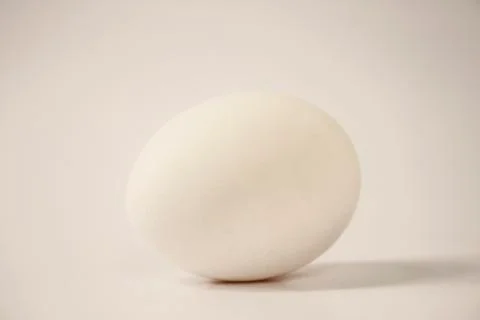 Chicken egg Stock Photos