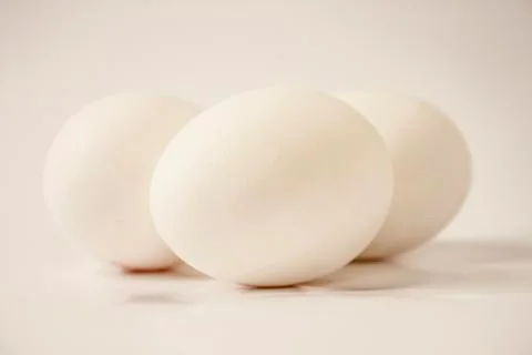 Chicken egg Stock Photos