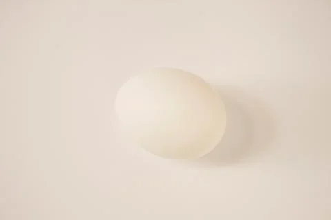 Chicken egg Foto stock