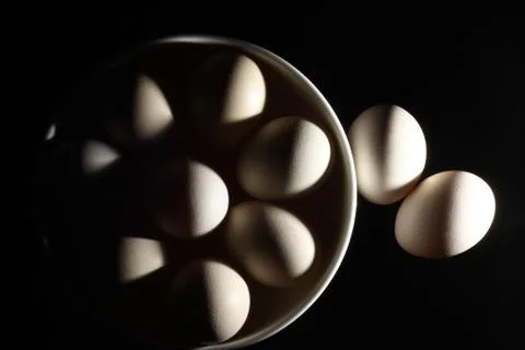 Chicken Egg Stock Photos