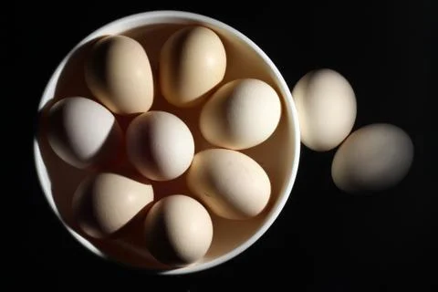 Chicken Egg Stock Photos