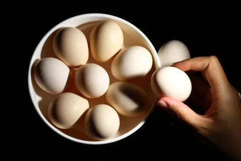 Chicken Egg Stock Photos