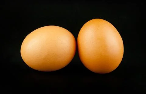 Chicken egg Stock Photos