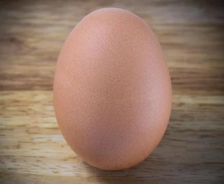A Chicken Egg Stock Photos
