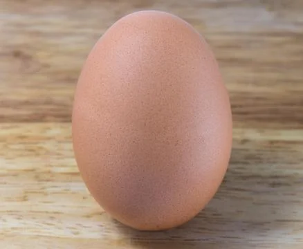 A Chicken Egg Stock Photos