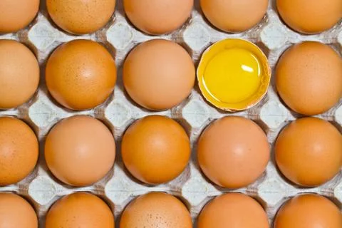 Chicken egg Stock Photos