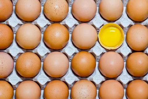 Chicken egg Stock Photos