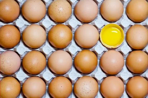 Chicken egg Stock Photos