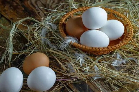 Chicken egg Stock Photos