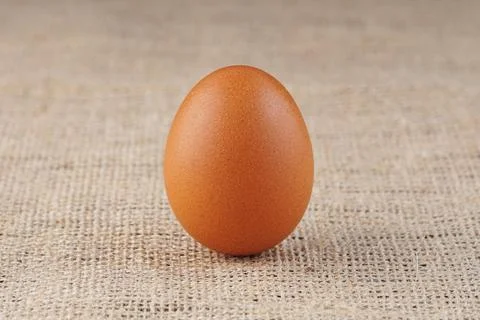 A chicken egg Stock Photos