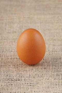 A chicken egg Stock Photos