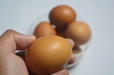 Chicken egg Stock Photos