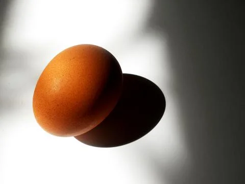 A chicken egg Stock Photos