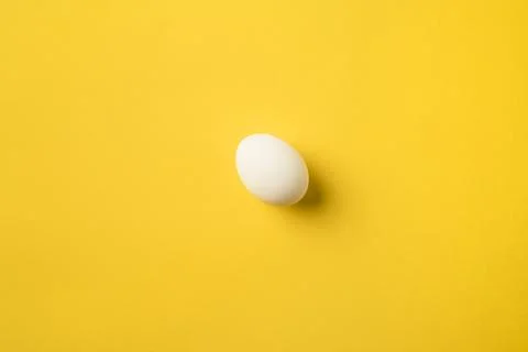 Chicken egg Foto stock
