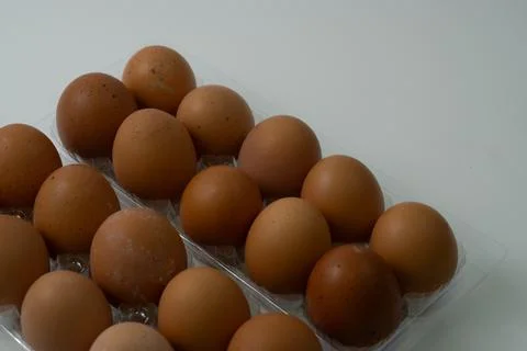 Chicken egg with plastic container on white background Stock Photos