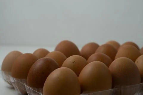 Chicken egg with plastic container on white background 53 Stock Photos