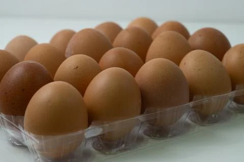 Chicken egg with plastic container on white background 54 Stock Photos