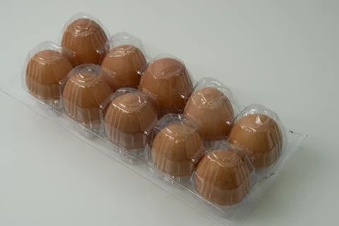 Chicken egg with plastic container on white background 56 Stock Photos