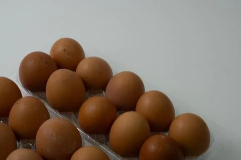 Chicken egg with plastic container on white background 50 Stock Photos