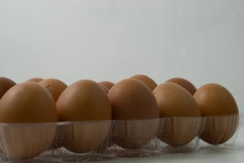Chicken egg with plastic container on white background 49 Stock Photos